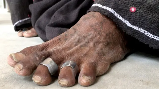 ریباری کمیونٹی