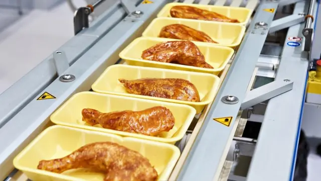 أطباق اللحوم