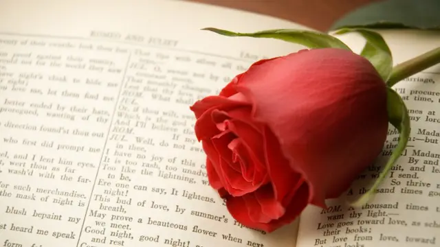 Роза на открытой странице "Ромео и Джульетты"