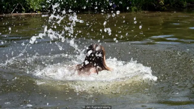 क्या किसी डूबते को बचाने के लिए आप ख़तरा उठाएंगे?