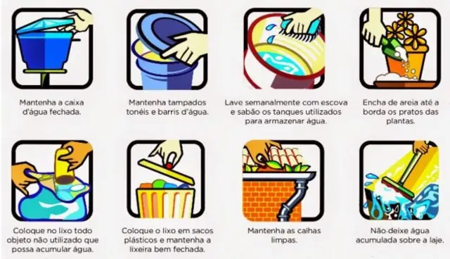 Dicas para evitar mosquito da dengue