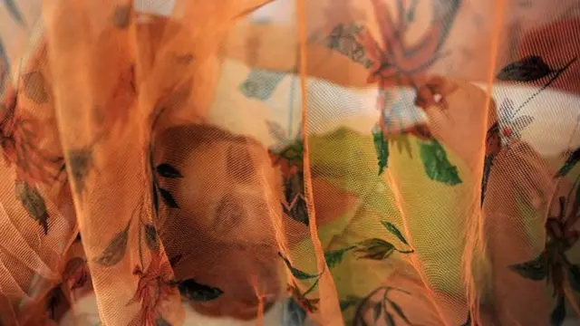 విష జ్వరాలు