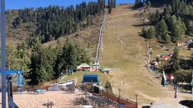 مالم جبہ