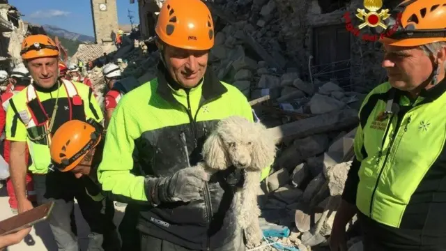 Kurtarma ekiplerinin kucağında enkaz altından kurtarılmış bir köpek