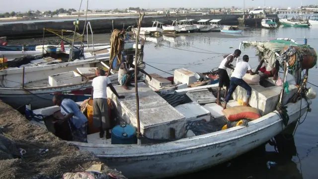 Warbixin ku saabsan Kalluunka ee magaalada Berbera
