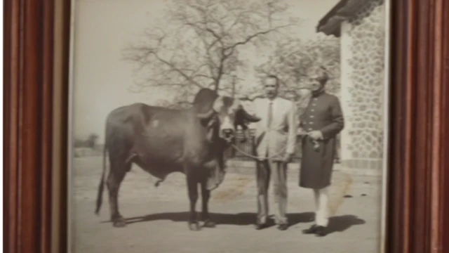 કૅસ્લૉ ગાર્સિયા સીડ અને ભાવનગરના રાજા વીરભદ્રસિંહ