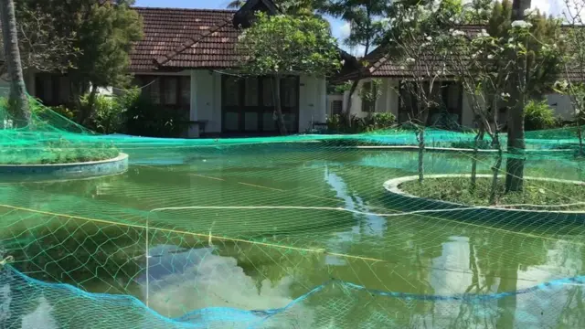 చేపల చెరువుగా మారిన స్విమ్మింగ్ పూల్