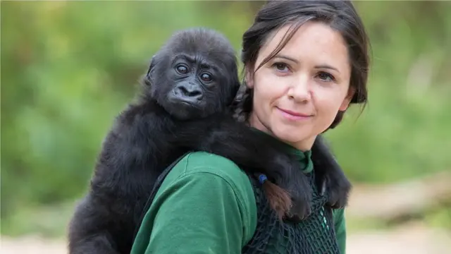 Gorillas and humans can form strong bonds, but their family lives are surprisingly distinct (Credit: Getty Images)