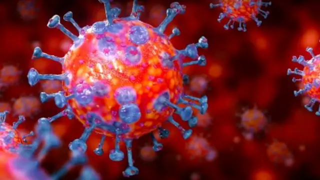 কোন কঠিন বস্তু থেকে করোনাভাইরাস সংক্রমণের ঝুঁকি ৭২ ঘন্টা পর ব্যাপকভাবে কমে যায়।