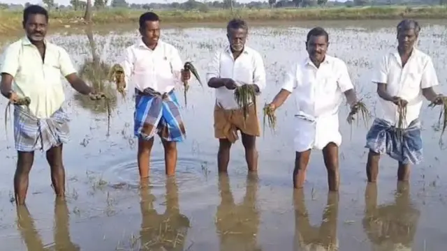 பயிர்ச்சேதம்