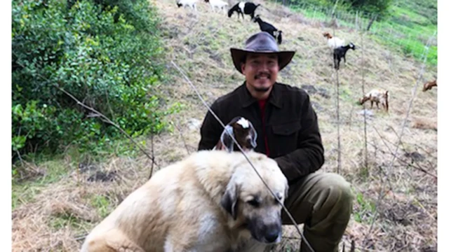 Homem ao lado de cão pastor
