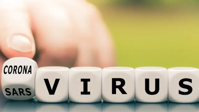 கொரோனா வைரஸ்: இலங்கையில் பாதிப்புக்குள்ளான முதல் இலங்கையர் #GroundReport