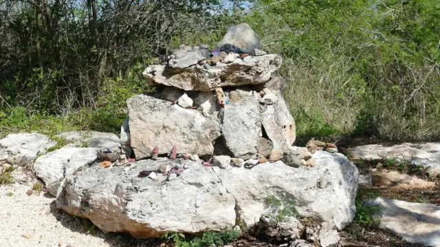 پتھر کی چھوٹی قربان گاہیں ‘مایا ووڈ لینڈ سپرٹ‘