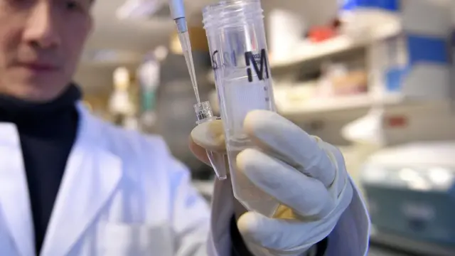 వైద్య అనుబంధ రంగాలు