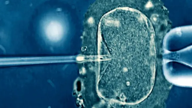 Вагітність репродуктивний вік коли народжувати