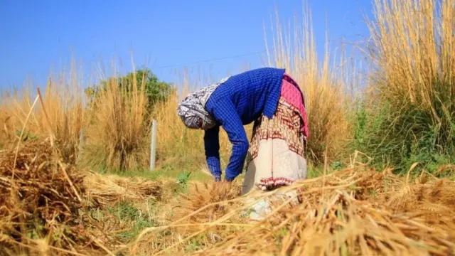 అన్నదాత