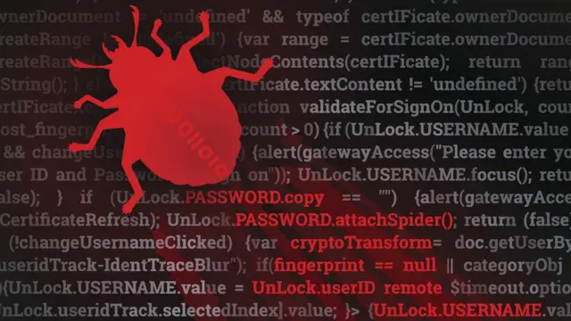 "bug" (error informático)