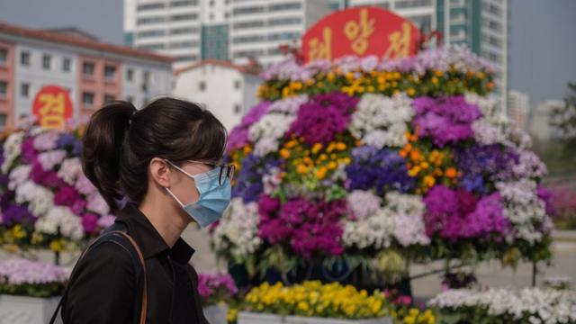 朝鮮平壤一名女士戴著口罩走過慶祝太陽節的花壇（15/4/2020）