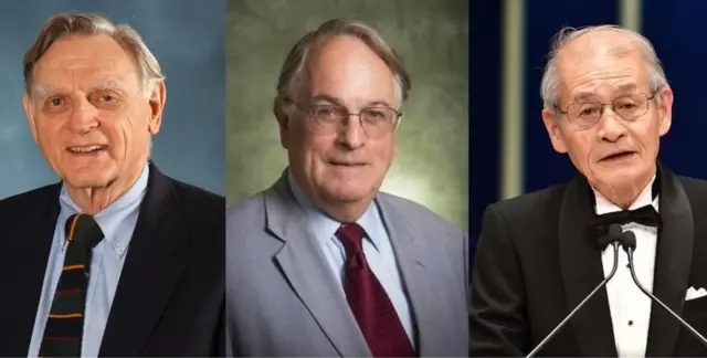 జాన్ బి.గుడ్ఇనఫ్, స్టాన్లీ విటింగ్హాం, అకీరా యోషినో (ఎడమ నుంచి కుడికి)