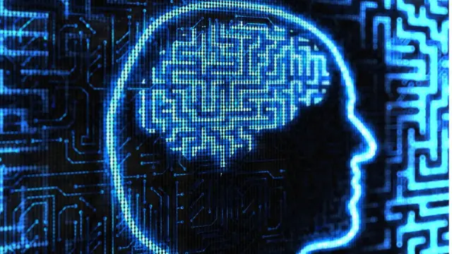 Cerebro en ordenador