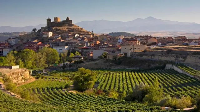 İspanya üzüm bağları