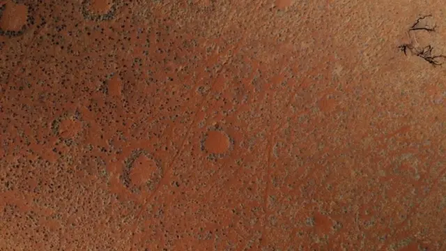 Os ‘círculos de fadas’ são trechos circulares de terra sem vegetação, que pontilham o deserto