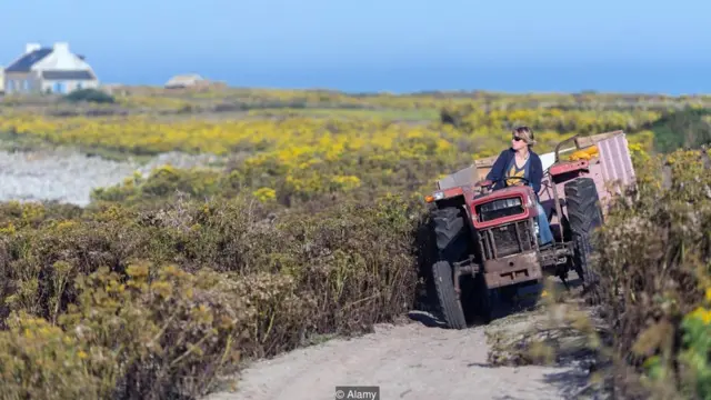 多项研究（包括在法国开展的系列研究）显示，农民比其他职业者更健康。
