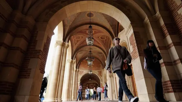 Університет