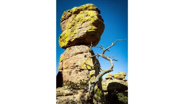 （图片来源：Zack Frank）