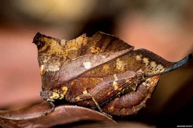ఫొటోగ్రఫీ ఆఫ్ ద ఇయర్ 2018
