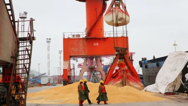 Đậu nành là một trong những mặt hàng xuất khẩu chính của Hoa Kỳ có thể bị Trung Quốc áp thuế