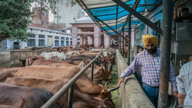 ਸੰਕੇਤਕ ਤਸਵੀਰ