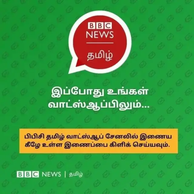 கமலா ஹாரிஸ், அமெரிக்க அதிபர் தேர்தல் 