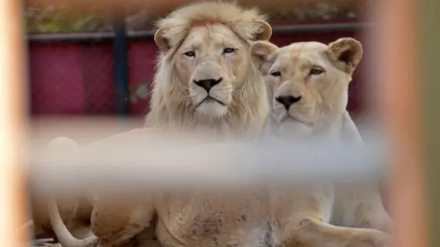 کراچی چڑیا گھر