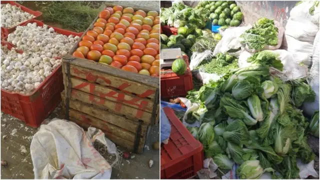 የአትክልቶች