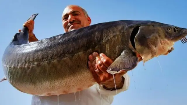 कॅस्पियन