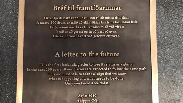 buzula bırakılan plaka