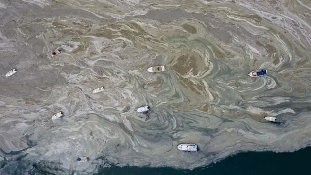 گسترش هشداردهنده لیزاب دریایی در دریای مرمر، نگرانی‌هایی را برانگیخته