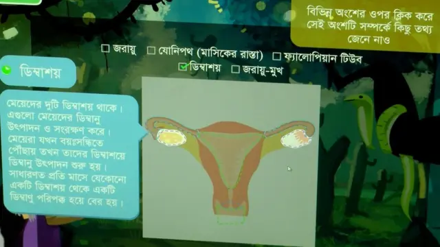 স্কুলে যৌন শিক্ষা