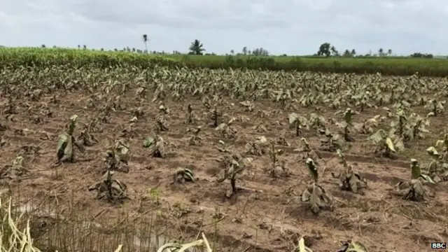 पुरामुळे नुकसान