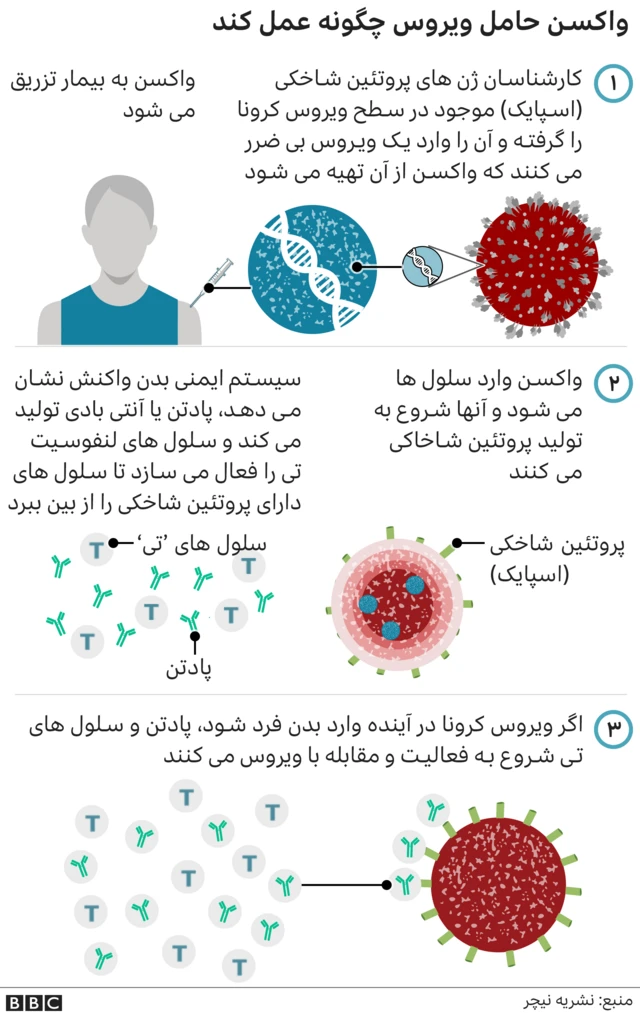 واکسن حامل ویروس