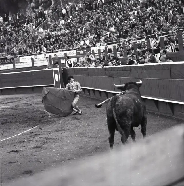 Београдска корида и Роберто Пилес