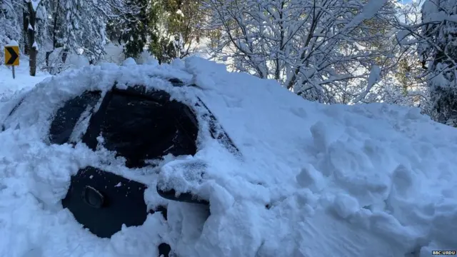 ਬਰਫ਼ਬਾਰੀ