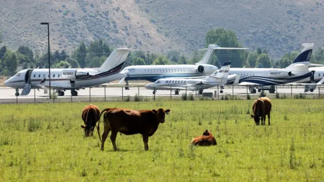 aviões privados estacionados ao ladoaposta esportiva quinapastagem com bovinos