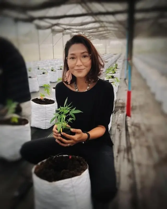 ช่อขวัญ ช่อผกา