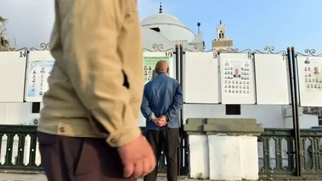 Cezayir'de seçim afişlerine bakan adam