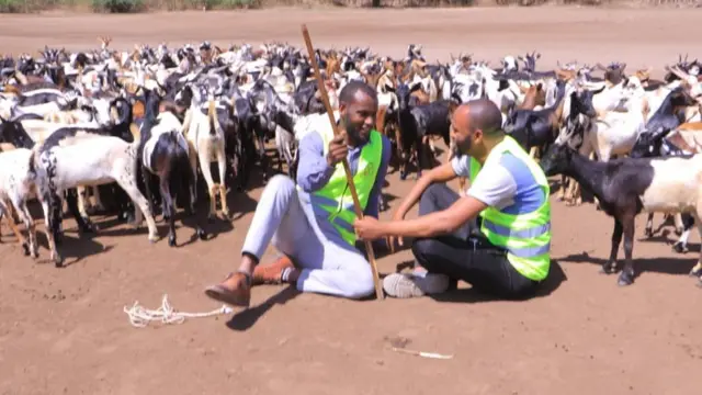 ሳልሃዲን በአፋር