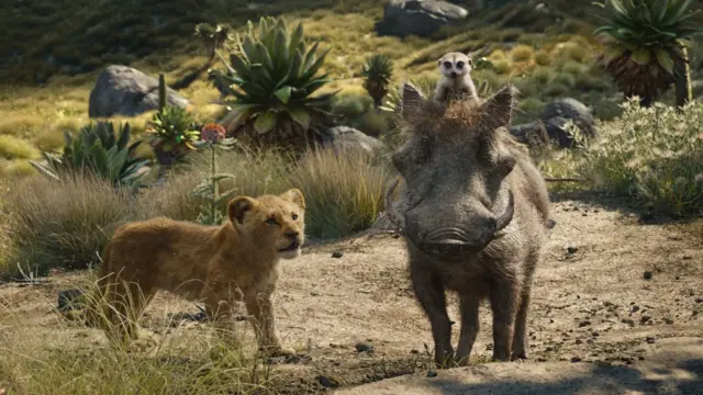 A Still from the Lion King