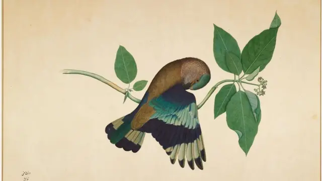 జైనుద్దీన్ చిత్రించిన చిత్రం