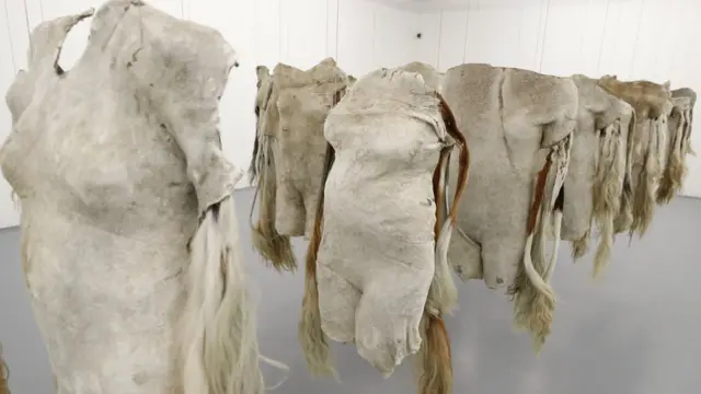 أبدع الفنان نانديفا منتامبو من جنوب أفريقيا من جلود الأبقار أعمالا فنية تحاكي ملابس البشر.